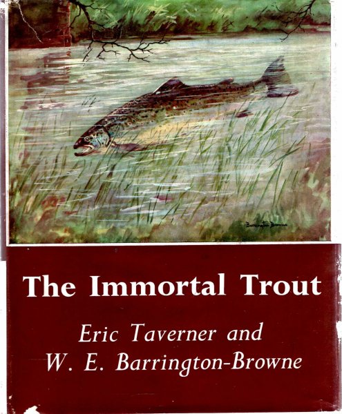 Image for The Immortal Trout