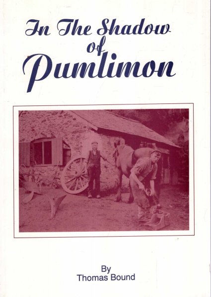 Image for In the Shadow of Pumlimon