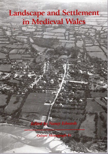 Image for Landscape and Settlement in Medieval Wales (Oxbow Monographs)