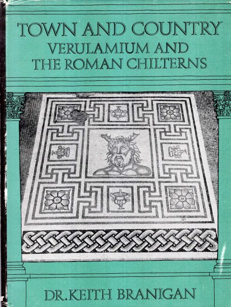 Image for Town and Country : The archaeology of Verulamium and the Roman Chilterns