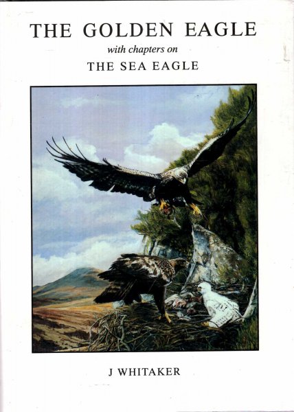 Image for The Golden Eagle with chapters on the Sea Eagle