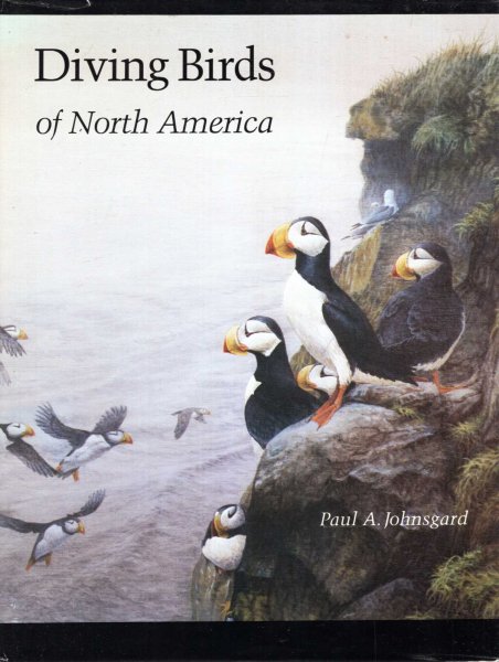 Image for Diving Birds of North America