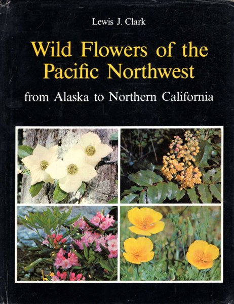 Image for Wildflowers of the Pacific Northwest :  from Alaska to northern California