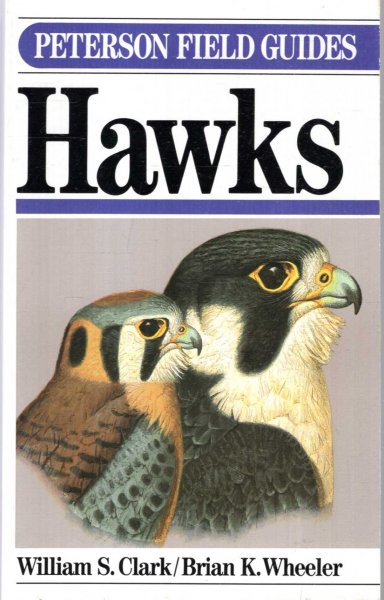 Image for A Field Guide to Hawks : North America (Peterson Field Guide Series, 35)