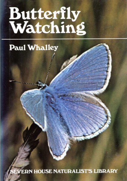 Image for Butterfly Watching