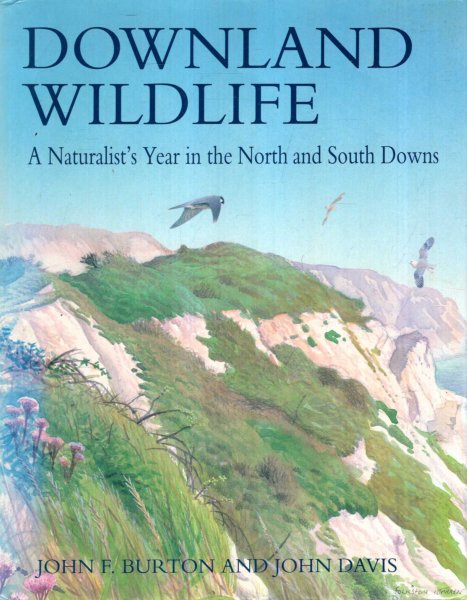 Image for Downland Wildlife : A Naturalist's Year In The North and South Downs