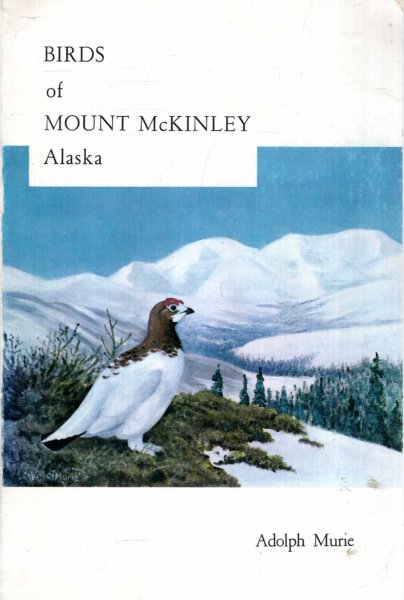 Image for Birds of Mount McKinley National Park, Alaska