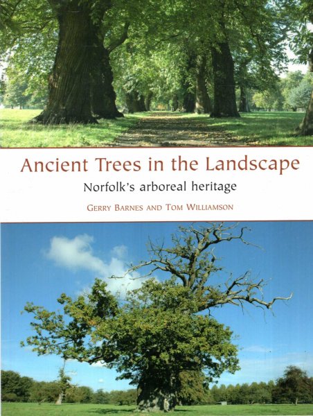 Image for Ancient Trees in the Landscape : Norfolk's arboreal heritage