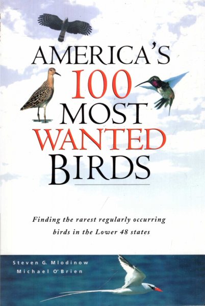 Image for America's 100 Most Wanted Birds, finding the rarest regularly occurring birds in the lower 48 states