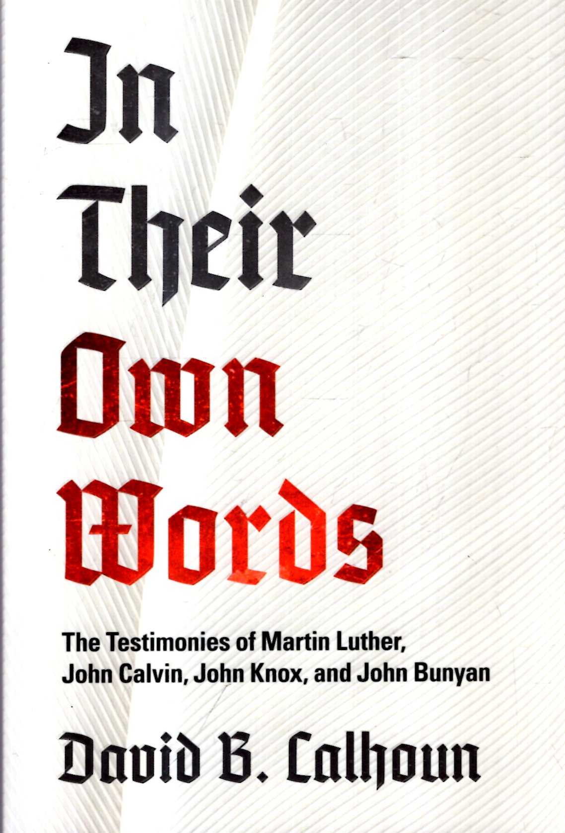Image for In Their Own Words: The Testimonies of Martin Luther, John Calvin, John Knox, and John Bunyan