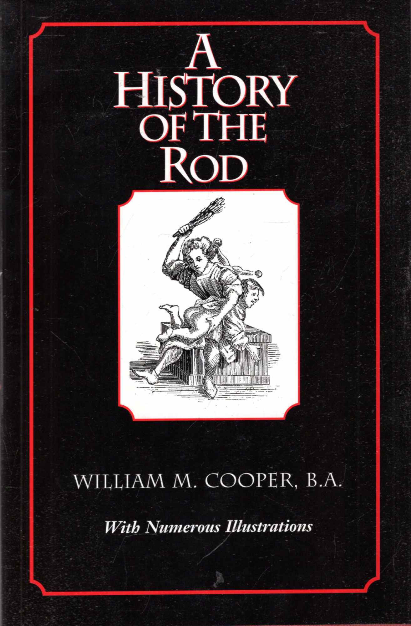 Image for A History of the Rod