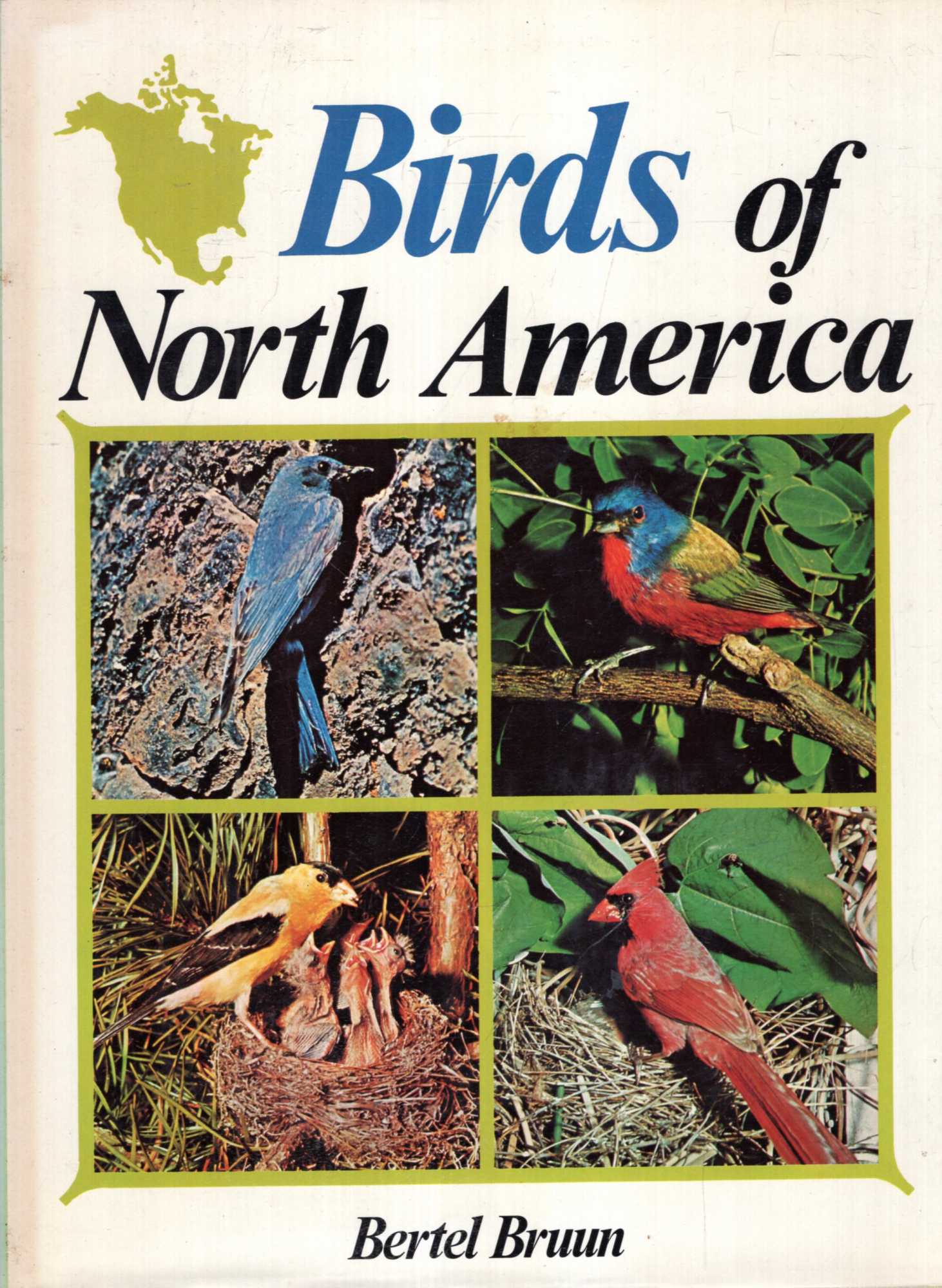 Image for Birds of North America