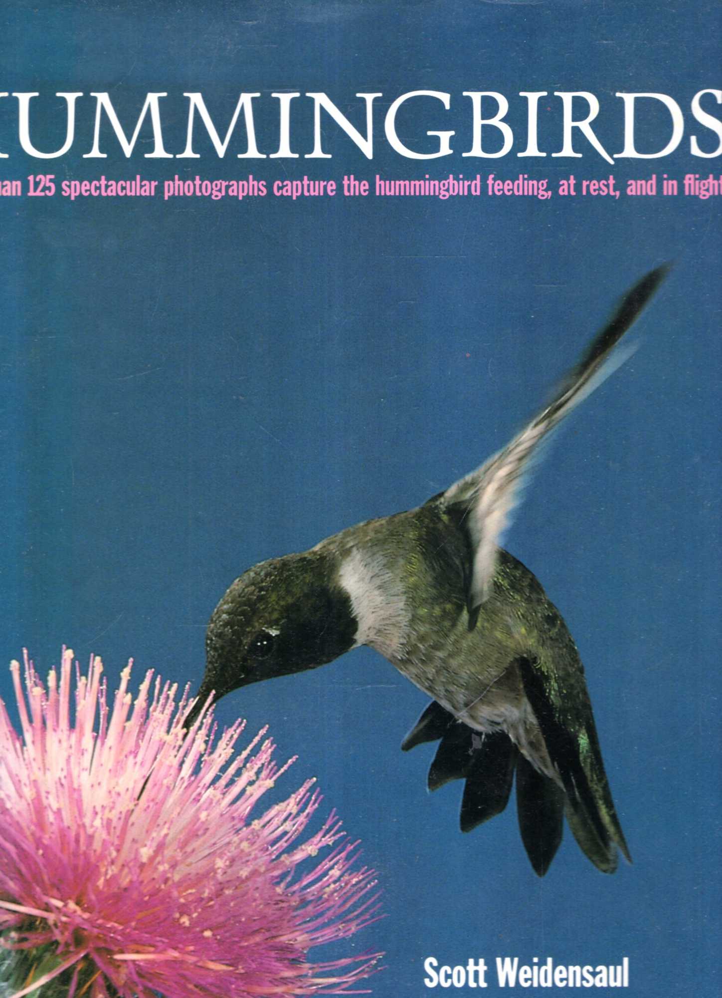 Image for Hummingbirds