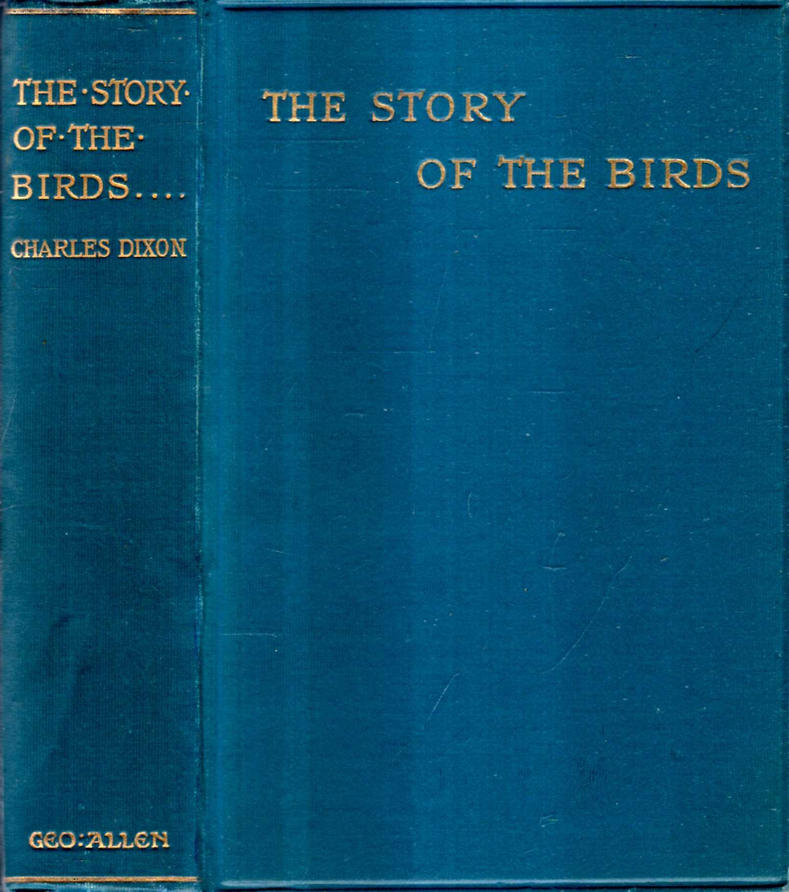 Image for The Story of Birds, being An Introduction to the Study of Ornithology