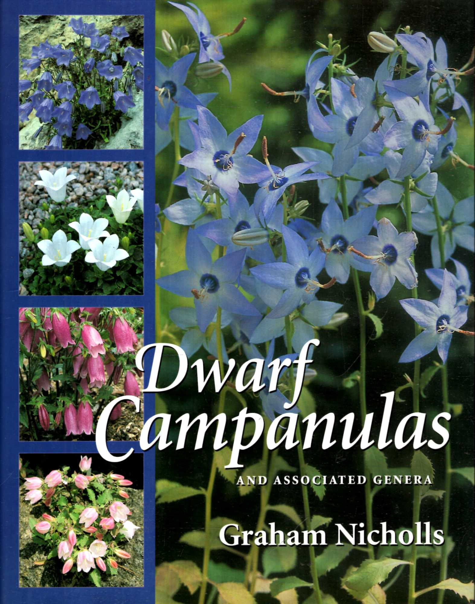 Image for Dwarf Campanulas and Associated Genera