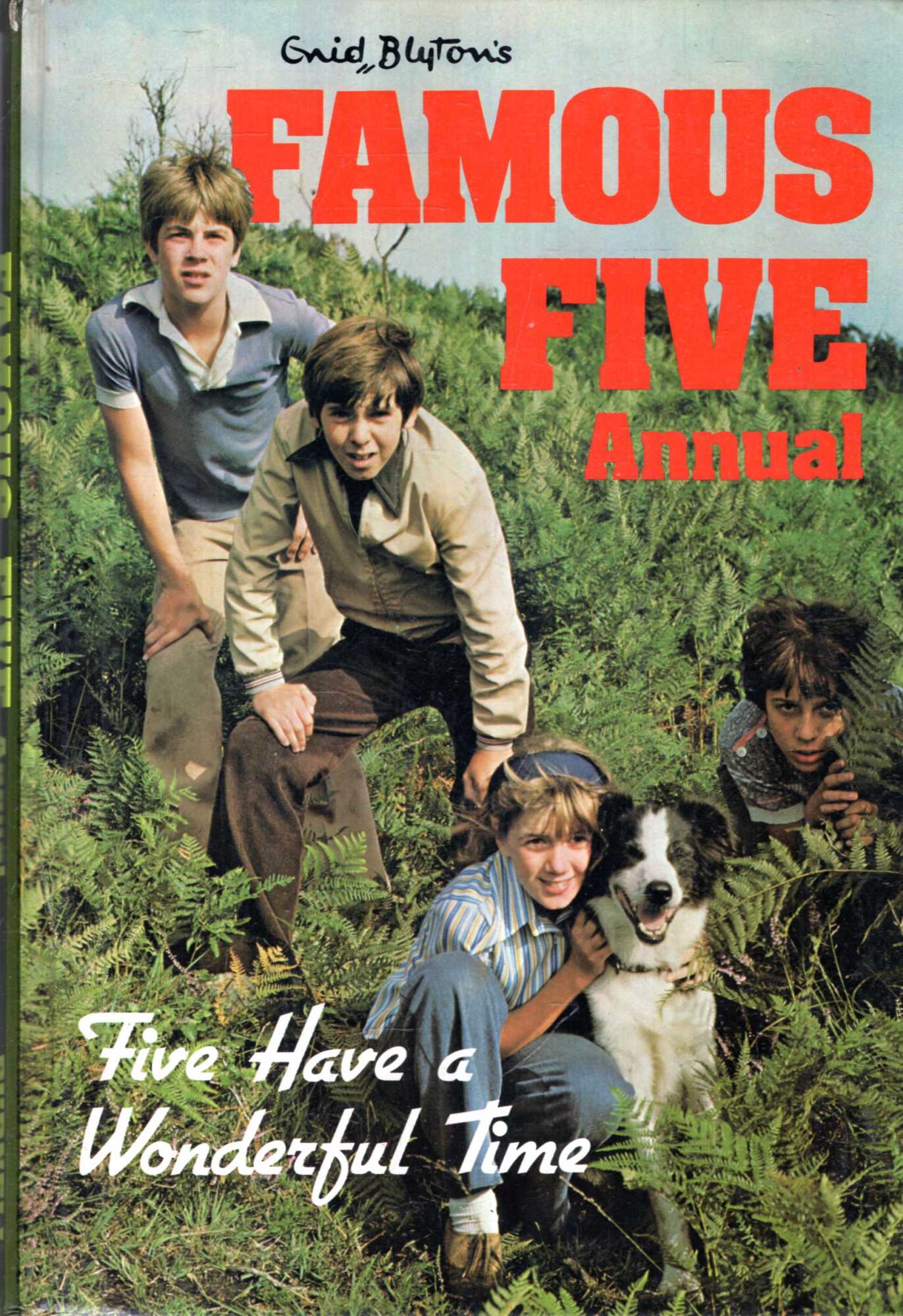 Image for Enid Blyton's Famous Five Annual : Five Have a Wonderful Time