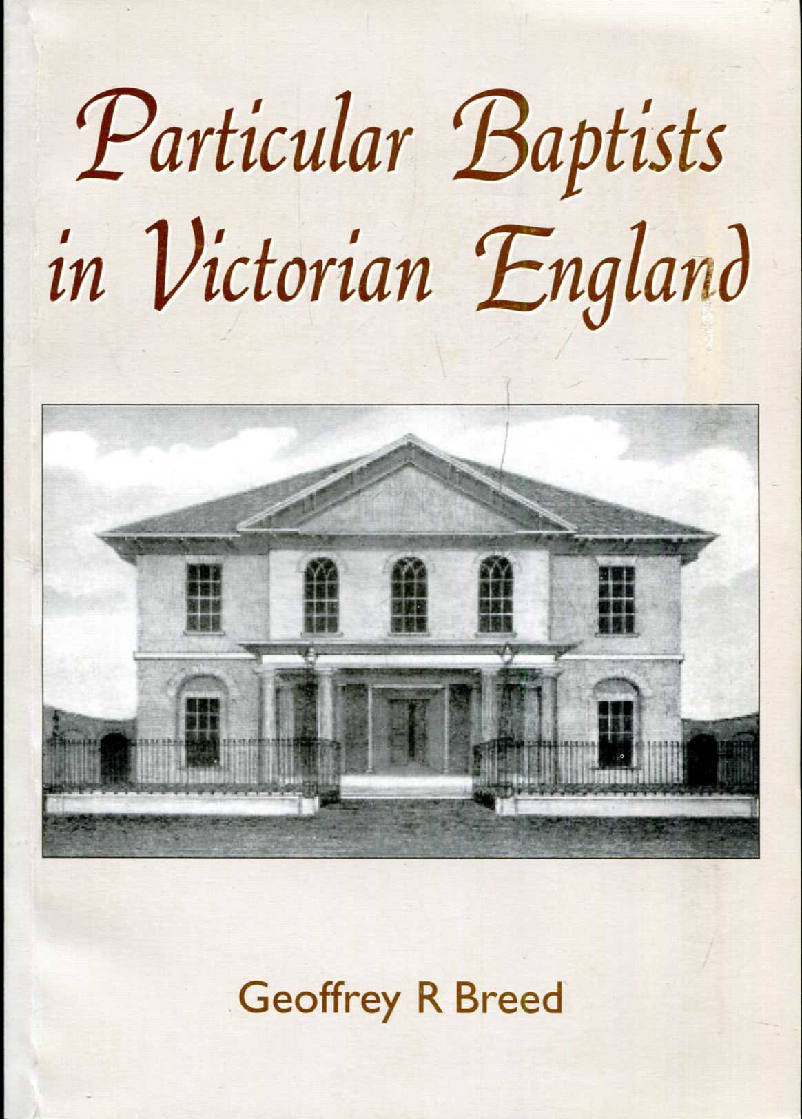 Image for Particular Baptists in Victorian England