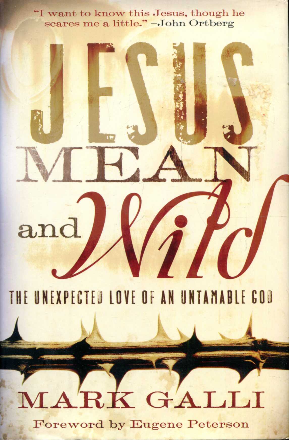 Image for Jesus Mean and Wild : The Unexpected Love of an Untamable God
