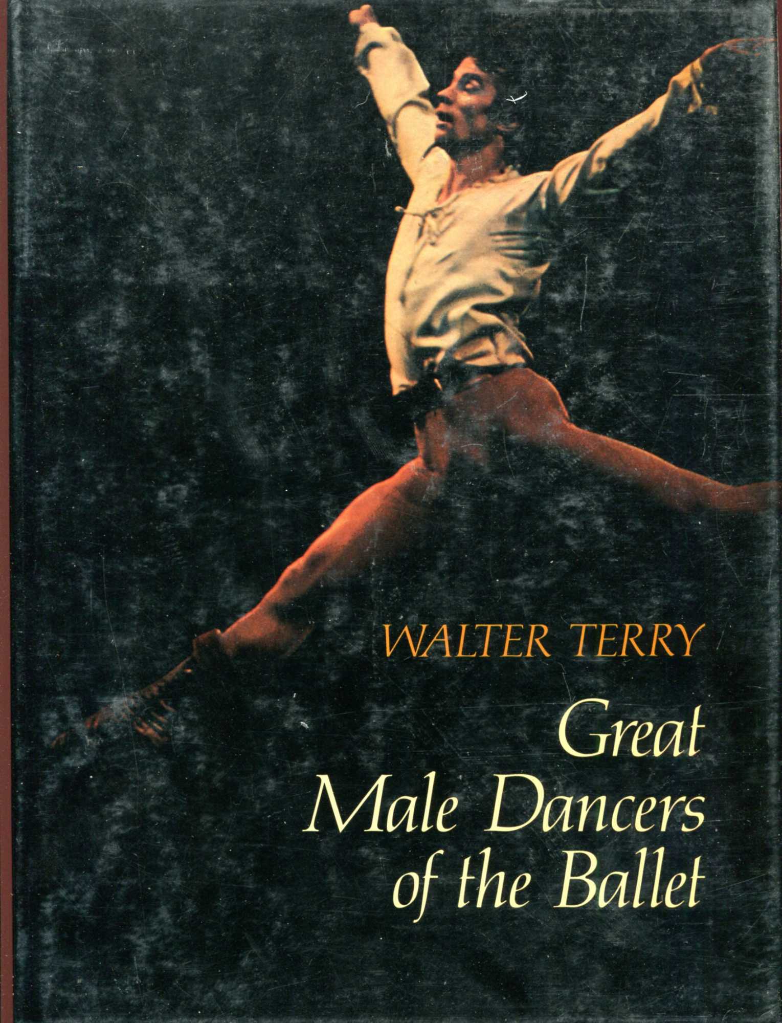 Image for Great Male Dancers of the Ballet