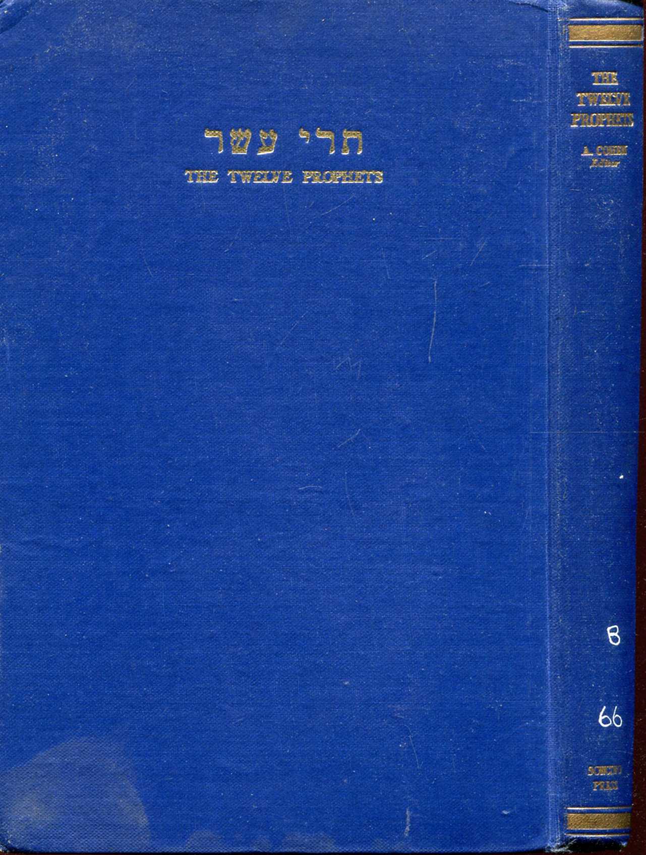 Image for The Twelve Prophets : Hebrew text, English translation and commentary