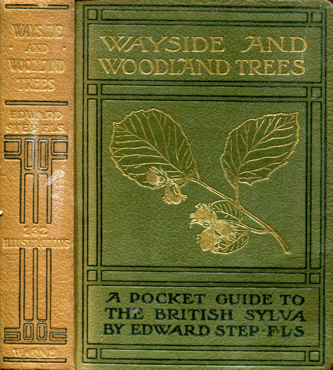 Image for Wayside and Woodland Trees, a pocket guide to the British Sylva
