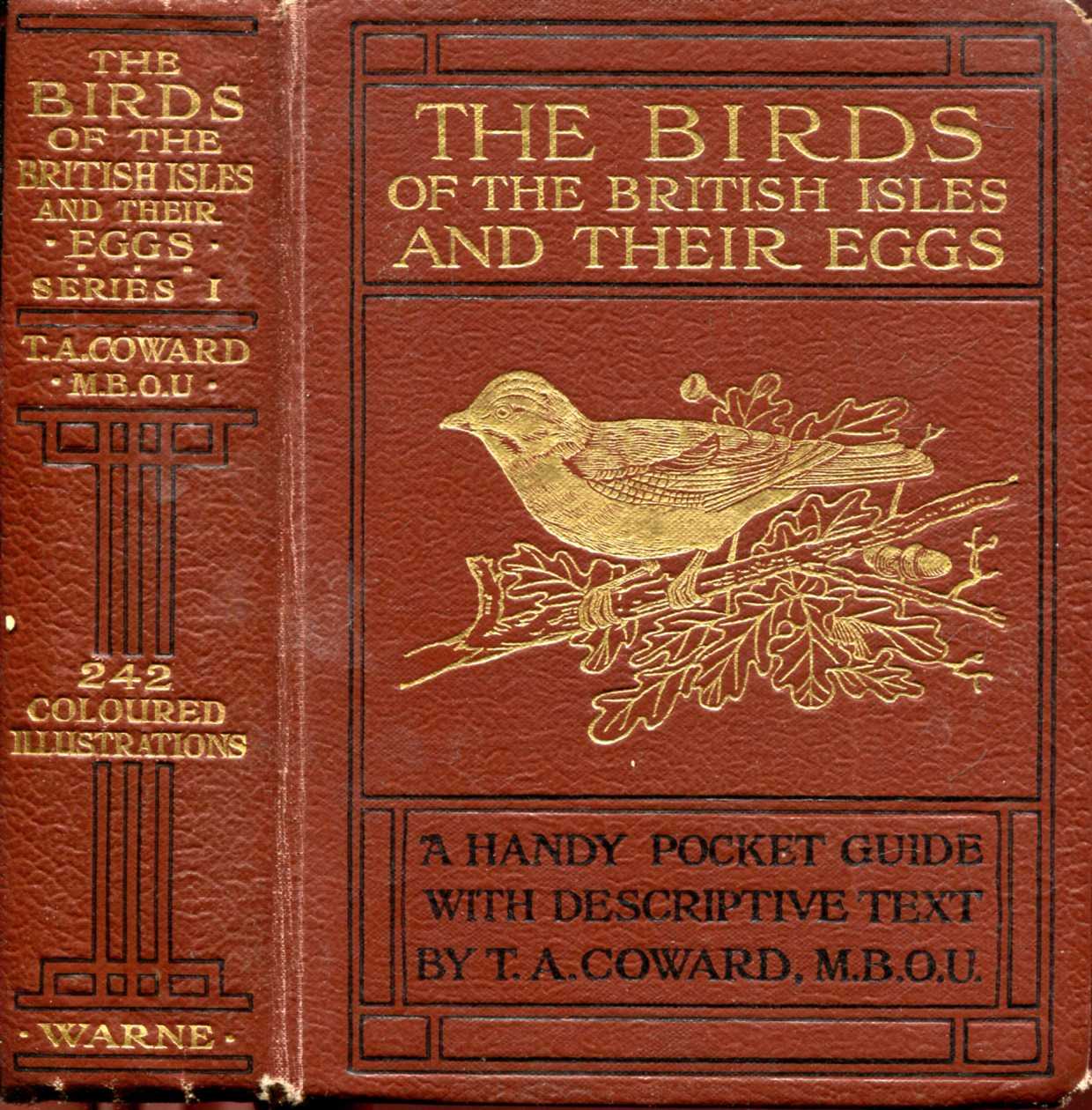 Image for The Birds of the British Isles and their Eggs, First Series, Families Corvidae to Sulidae