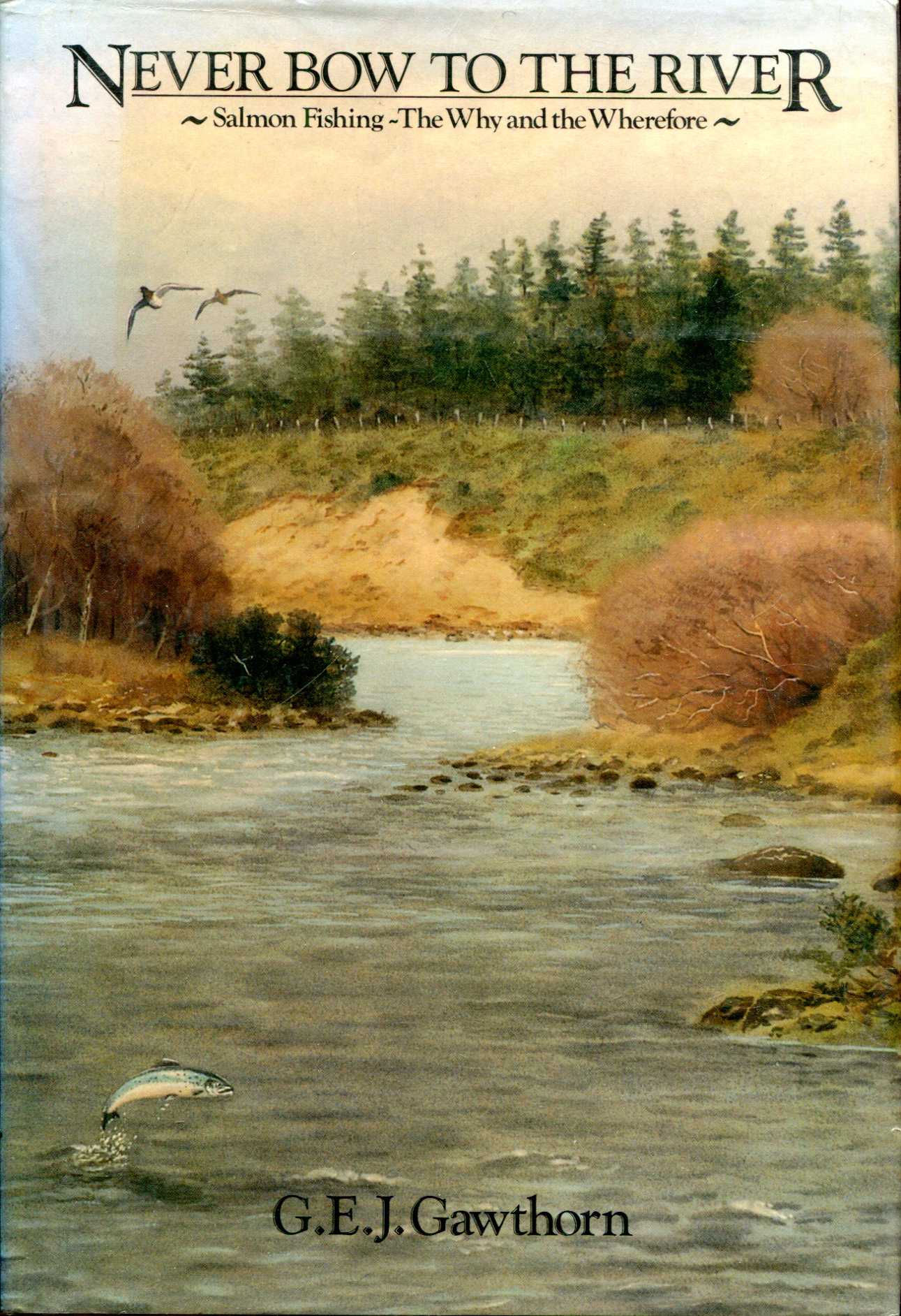 Image for Never Bow to the River: Salmon Fishing - The Why and the Wherefore