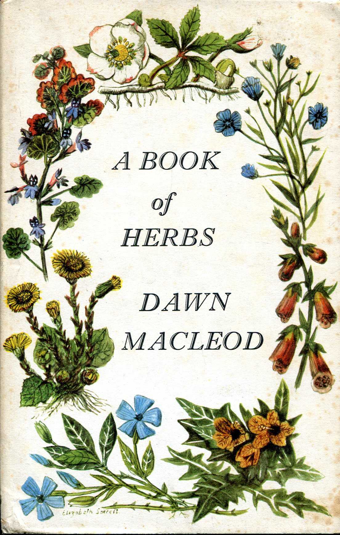 Image for A Book of Herbs
