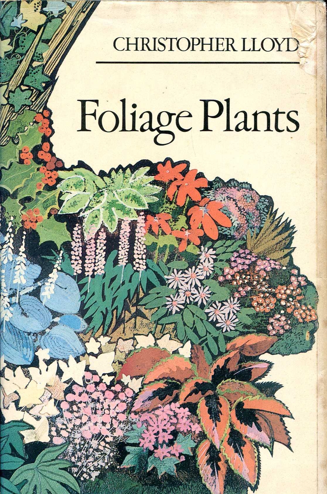 Image for Foliage Plants
