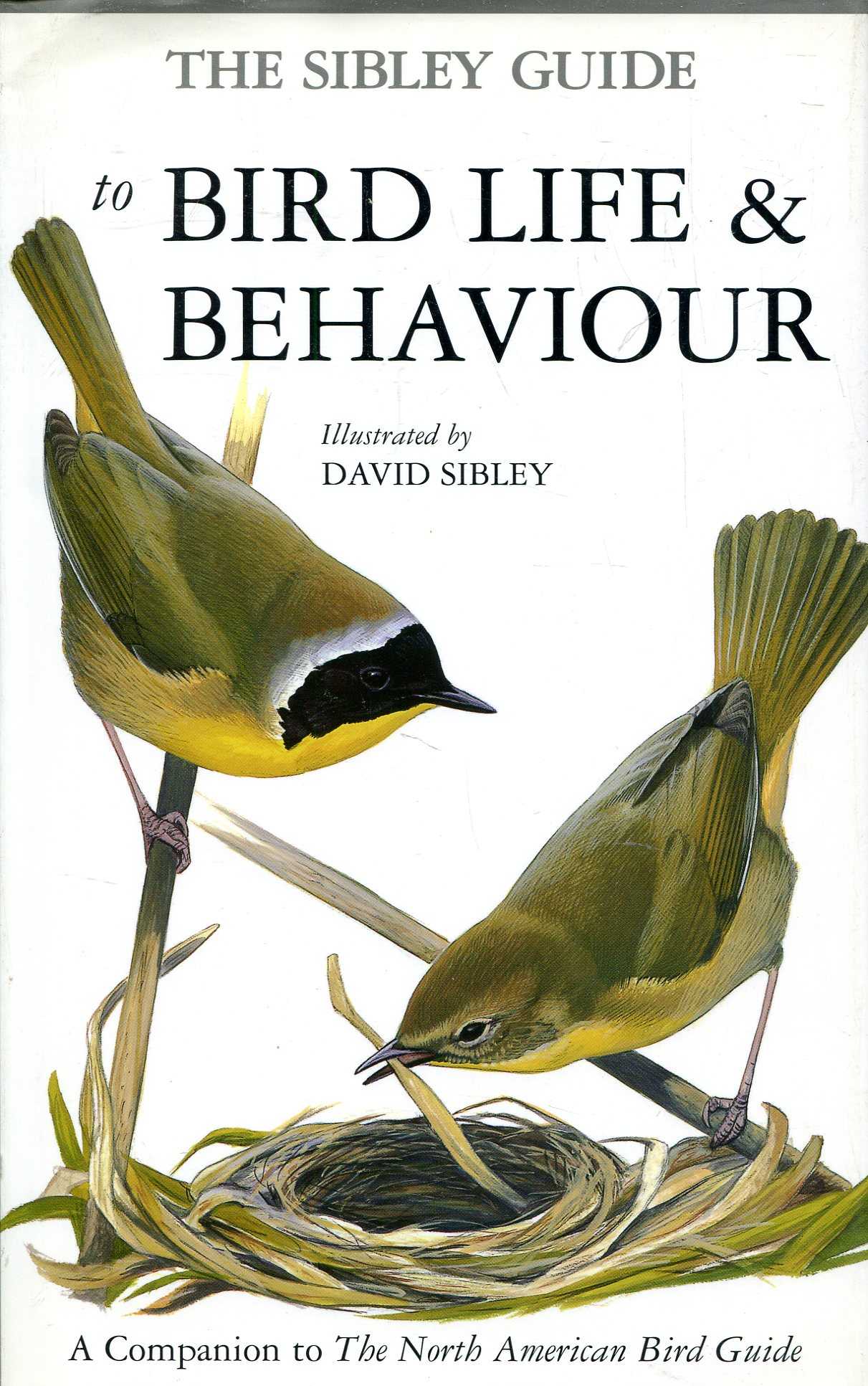 The Sibley Guide To Bird Life And Behaviour A Companion To The North The Sibley Guide To Bird Life And Behaviour A Companion To The North