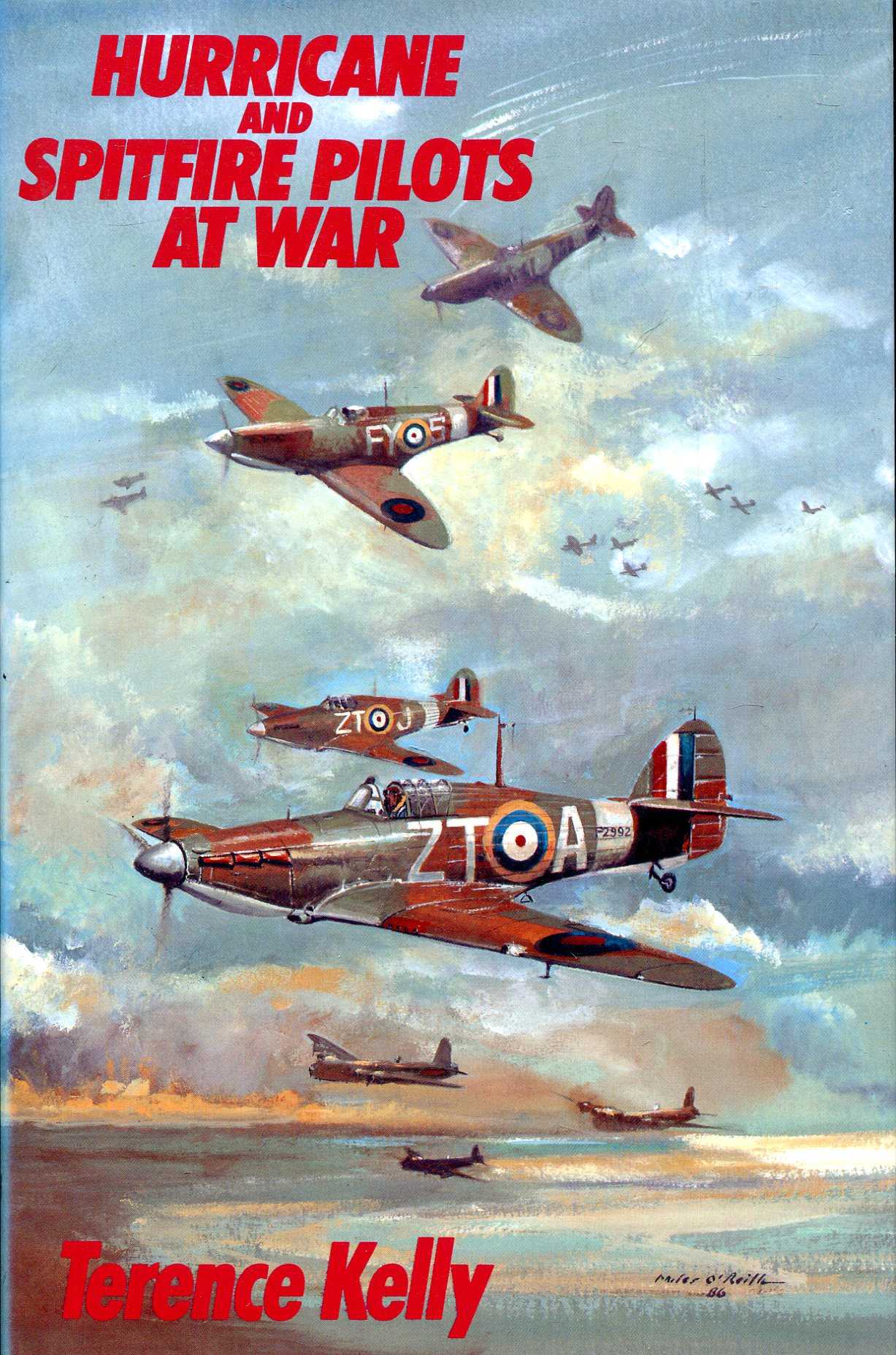 Image for Hurricane and Spitfire Pilots at War