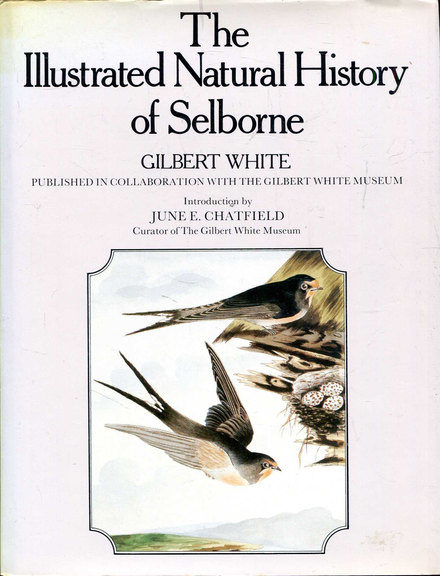 Birds of Selborne by Gilbert White Birds of Selborne by Gilbert White
