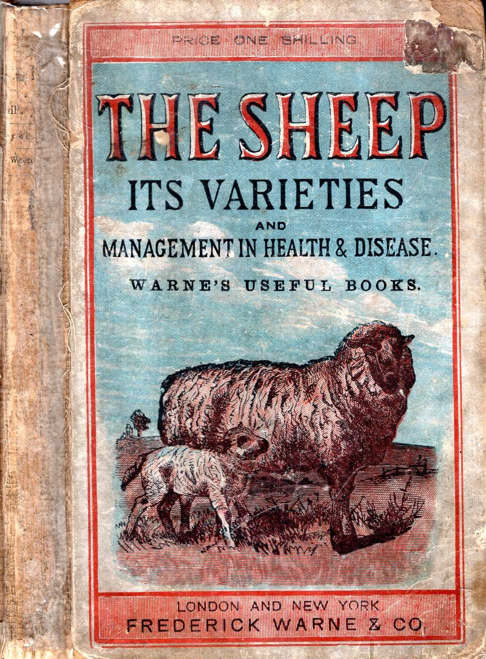 The Sheep its varieties and management in health and disease