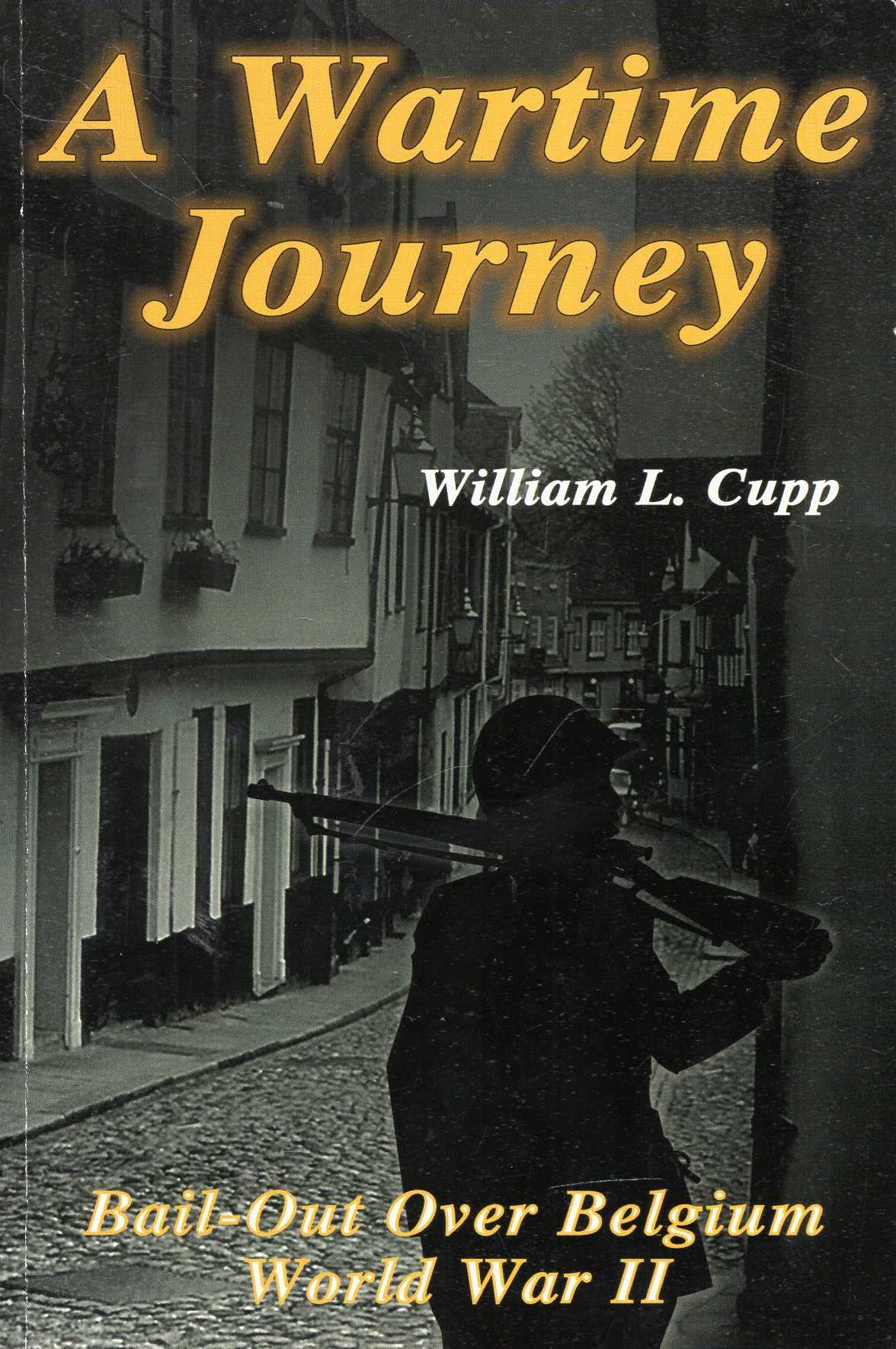 Image for A Wartime Journey: Bail-Out Over Belgium - World War II