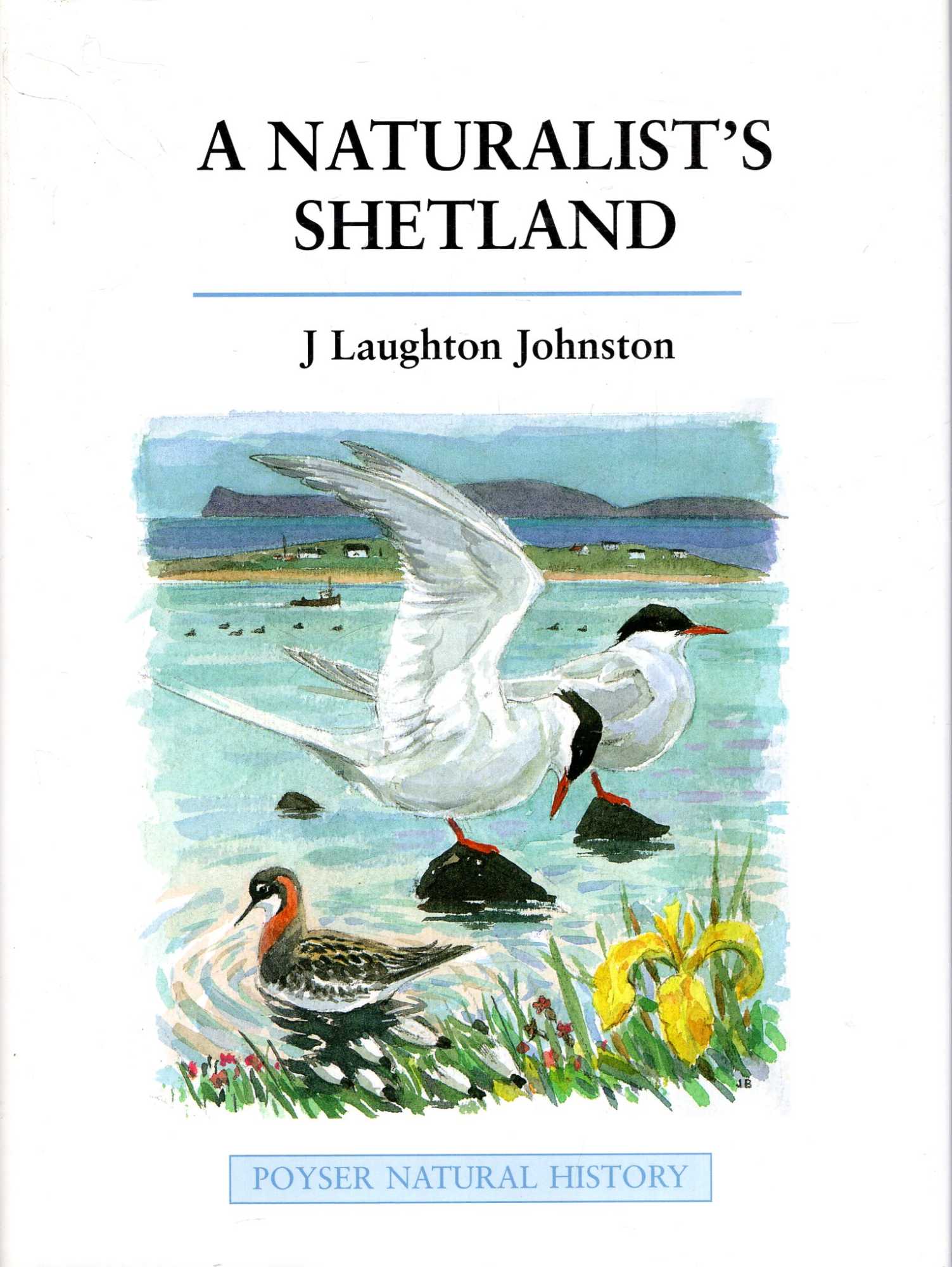 Image for A Naturalist's Shetland