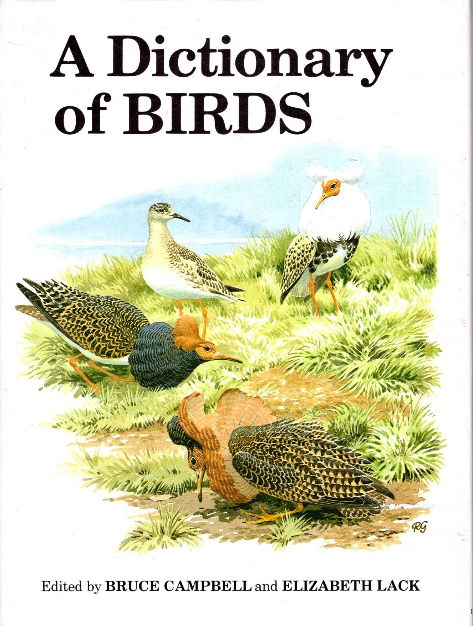 Image for A Dictionary of Birds