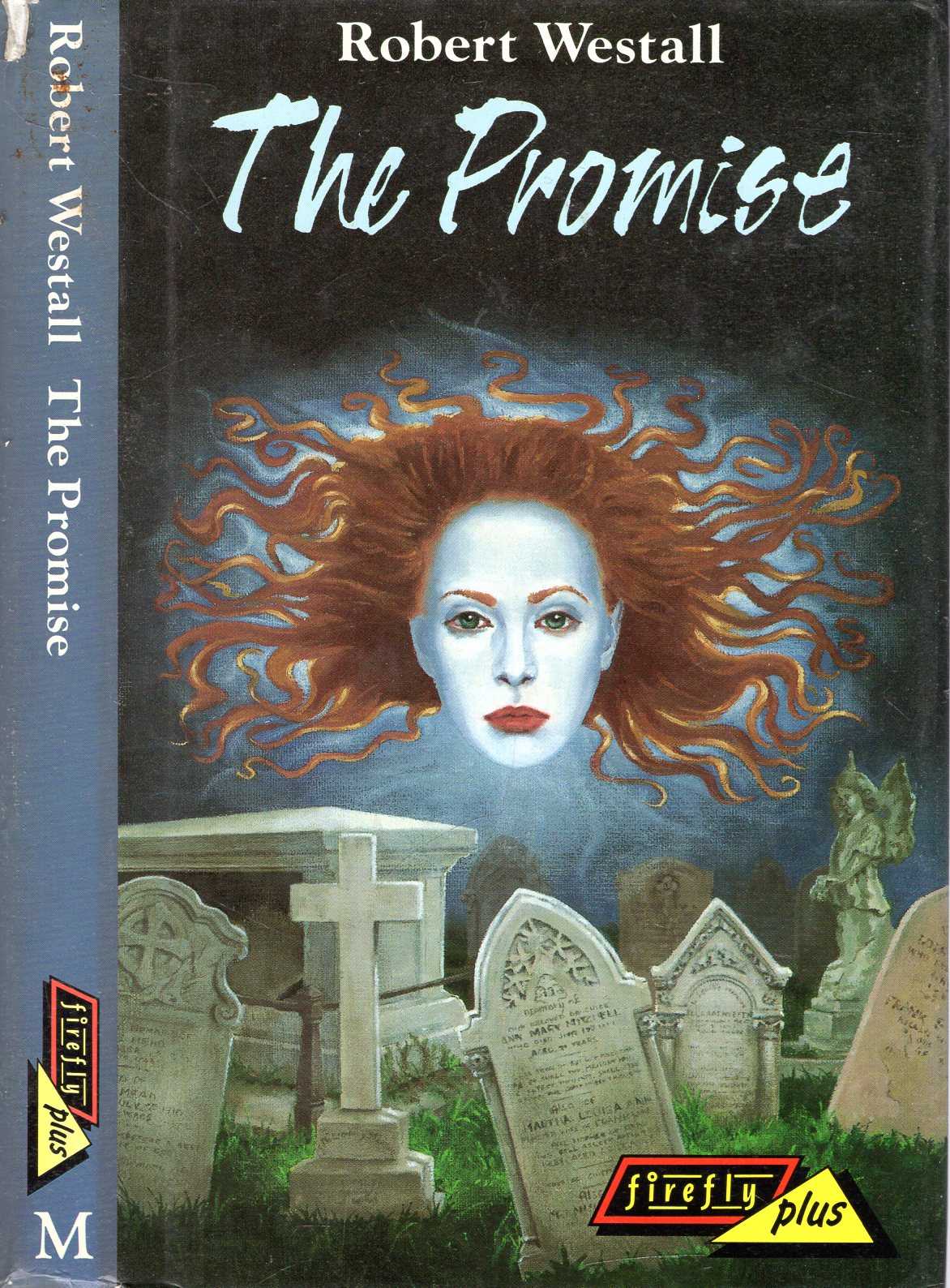 Image for The Promise