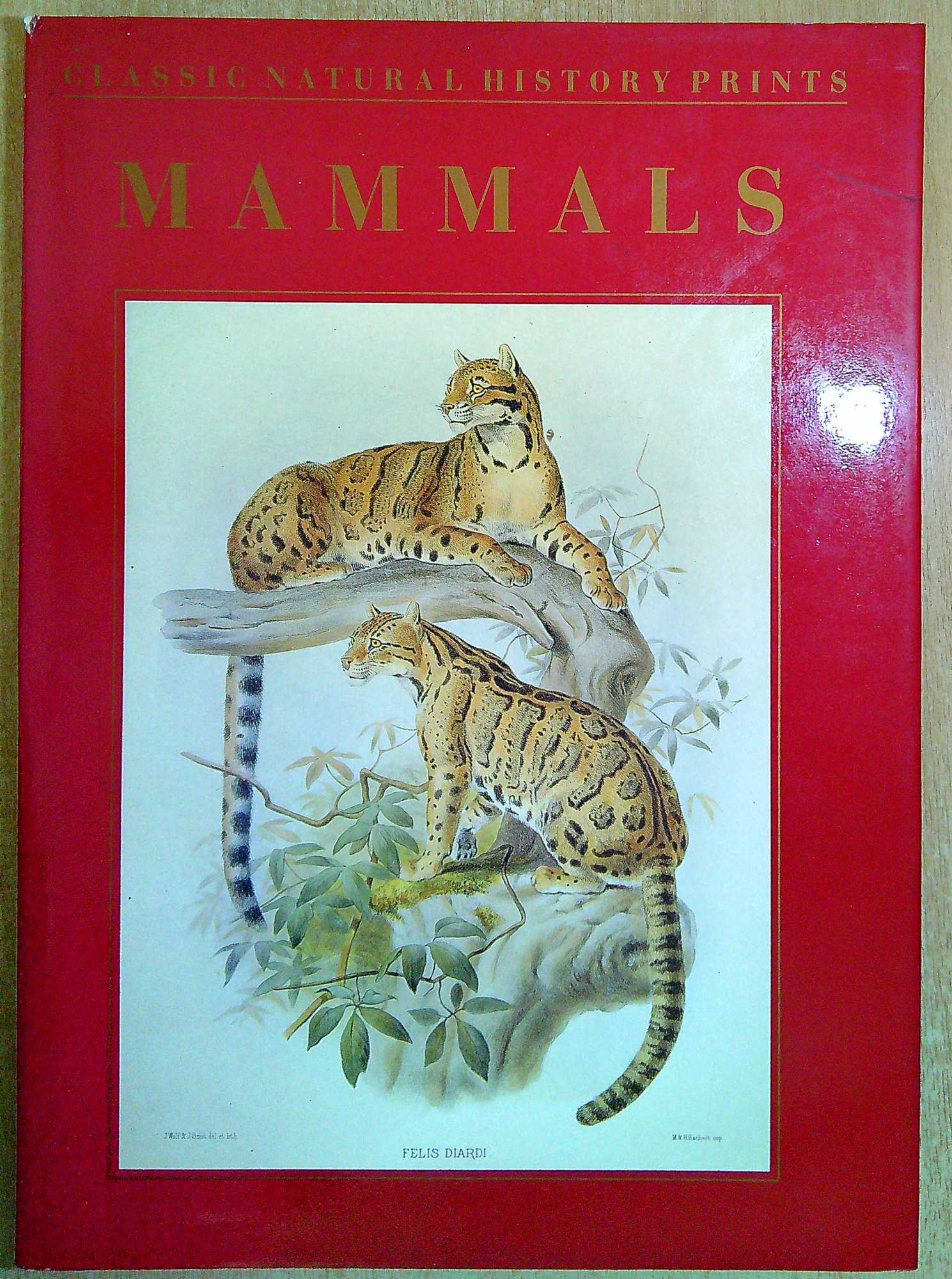 CLASSIC NATURAL HISTORY PRINTS MAMMALS 【公式通販】